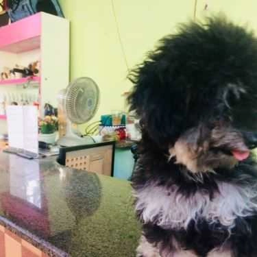 Tổng hợp- May Coffee House