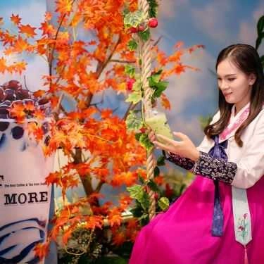 Tổng hợp- Cafe Meet & More - Trà Sữa Hàn Quốc - Lê Đức Thọ