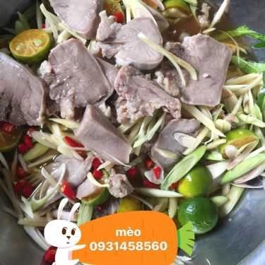 Tổng hợp- Mèo - Chân Gà Sả Tắc - Shop Online