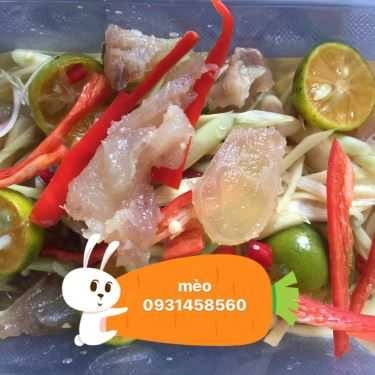 Tổng hợp- Mèo - Chân Gà Sả Tắc - Shop Online
