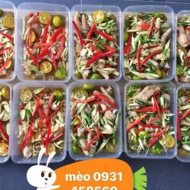Tổng hợp- Mèo - Chân Gà Sả Tắc - Shop Online
