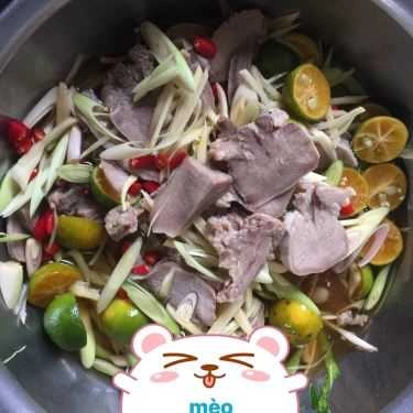 Tổng hợp- Mèo - Chân Gà Sả Tắc - Shop Online