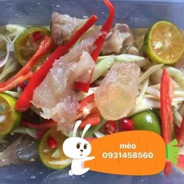 Tổng hợp- Mèo - Chân Gà Sả Tắc - Shop Online