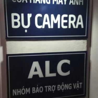 Tổng hợp- Mèo Lụm Kitchen & Coffee
