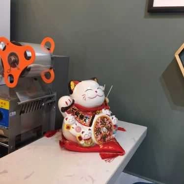 Tổng hợp- Mèo Lười - Tea & Coffee