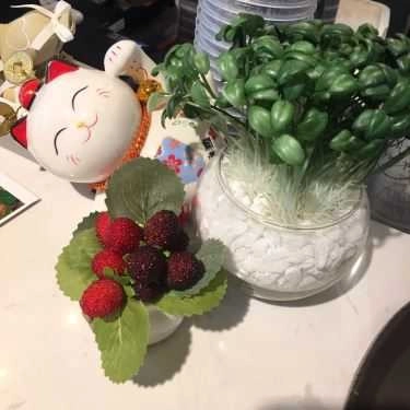 Tổng hợp- Mèo Lười - Tea & Coffee