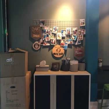 Tổng hợp- Mèo Lười - Tea & Coffee
