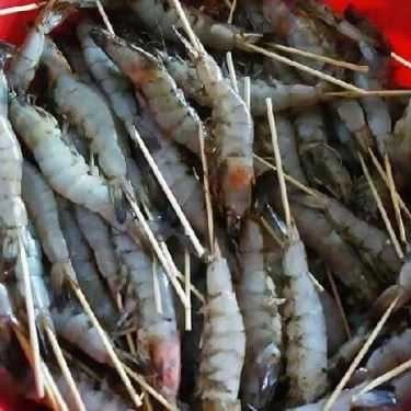 Tổng hợp- Ăn vặt Mèo Ú BBQ - Xiên Nướng 5K - Lý Chính Thắng