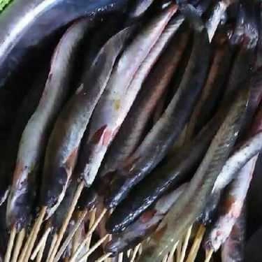 Tổng hợp- Ăn vặt Mèo Ú BBQ - Xiên Nướng 5K - Lý Chính Thắng