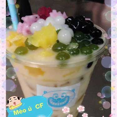 Món ăn- Mèo Ú Coffee - Cộng Hòa