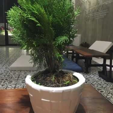 Tổng hợp- Metropolis Coffee