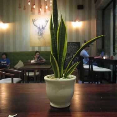 Tổng hợp- Metropolis Coffee