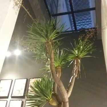 Tổng hợp- Metropolis Coffee