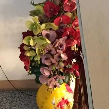 Tổng hợp- Mì Cay Hàn Quốc 7 Cấp Độ - Thế Giới Ăn Vặt