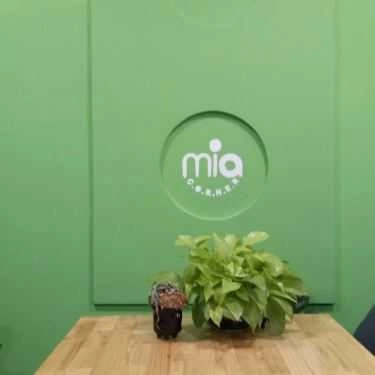 Tổng hợp- Cafe Mia Corner - The Milk Tea Shop