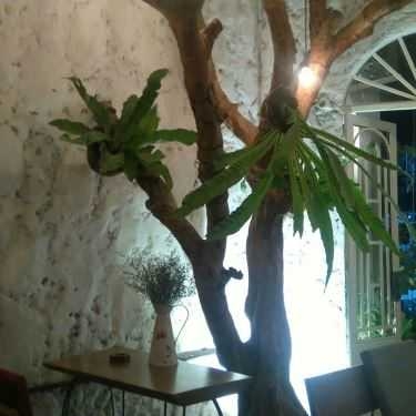 Tổng hợp- Michio Cafe