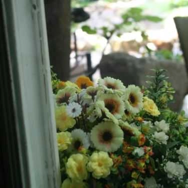Tổng hợp- Miền Đồng Thảo Cafe