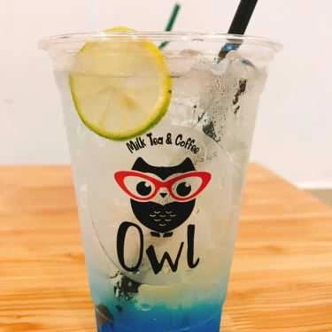 Món ăn- Owl - Milk Tea & Coffee