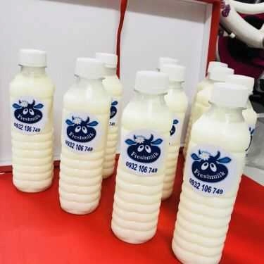 Món ăn- Fresh Milk - Shop Online