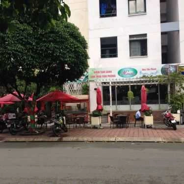 Tổng hợp- Mimosa Cafe - Lạc Long Quân