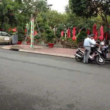 Tổng hợp- Mimosa Cafe - Lạc Long Quân