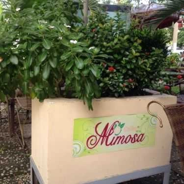 Tổng hợp- Mimosa Cafe - Lạc Long Quân