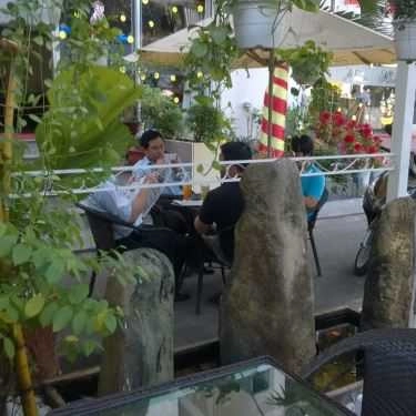 Tổng hợp- Mimosa Cafe - Lạc Long Quân
