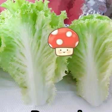 Món ăn- Ăn vặt Mini Hamburger