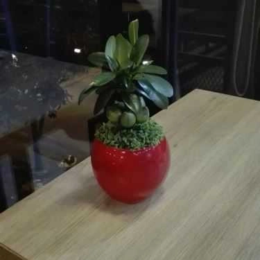 Tổng hợp- Cafe Mizuwa Tea - Cộng Hòa