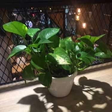 Tổng hợp- Cafe Mizuwa Tea - Cộng Hòa