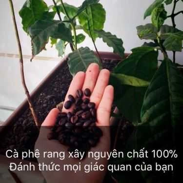 Tổng hợp- Mộc Coffee - Đường 17A