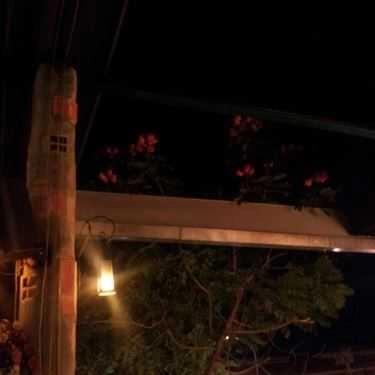 Tổng hợp- Mộc Miên Cafe
