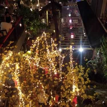 Tổng hợp- Mộc Miên Cafe