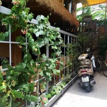 Tổng hợp- Mộc Xưa Cafe - Trần Quốc Hoàn