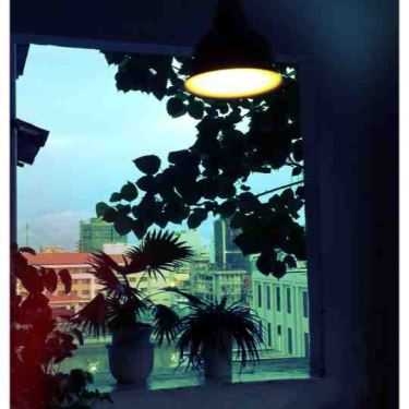 Tổng hợp- MockingBird Cafe