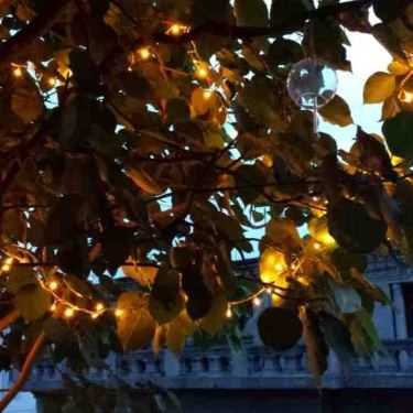 Tổng hợp- MockingBird Cafe