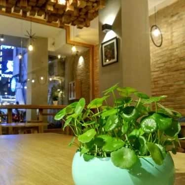 Tổng hợp- Moda House Coffee