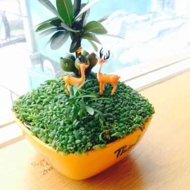 Tổng hợp- Moda House Coffee - Tô Ký