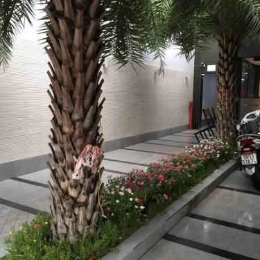 Tổng hợp- Modern Coffee