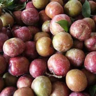 Món ăn- Shop online Thái Trân - Ăn Vặt Online