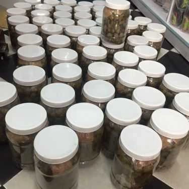 Món ăn- Ăn vặt Be Tom - Cung Cấp Thực Phẩm Sạch - Shop Online