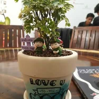 Tổng hợp- Moon Coffee - Tân Thành