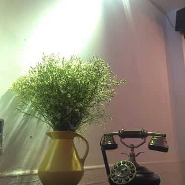 Tổng hợp- Moon Coffee & Tea - Cơm Trưa Văn Phòng