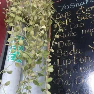 Tổng hợp- Morning Coffee - Chu Văn An