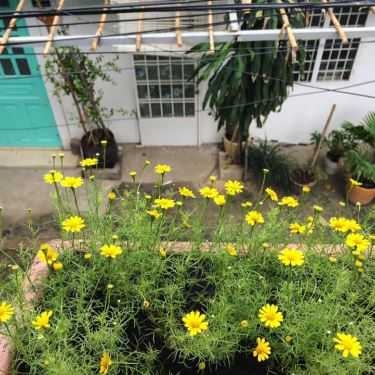 Tổng hợp- Một Chín Chín Mấy - Cà Phê & Cơm Văn Phòng
