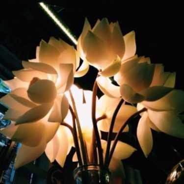 Tổng hợp- Một Mình Cafe