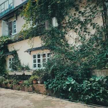 Tổng hợp- Một Mình Cafe