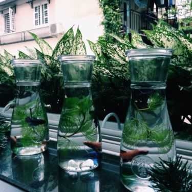 Tổng hợp- Một Mình Cafe