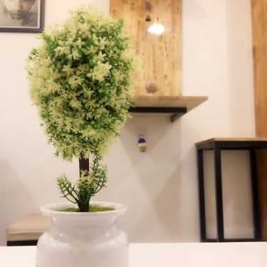Tổng hợp- Mr. OBA Coffee - 24h