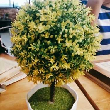 Tổng hợp- Cafe Trà Sữa Mr Tea - Lê Quý Đôn